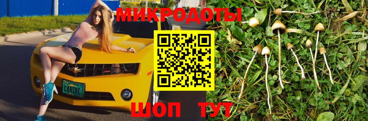 Псилоцибиновые грибы Psilocybine cubensis  Псилоцибиновые грибы GOLDEN TEACHER  Топки  Вход с VPN 